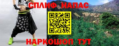 apvp Кингисепп