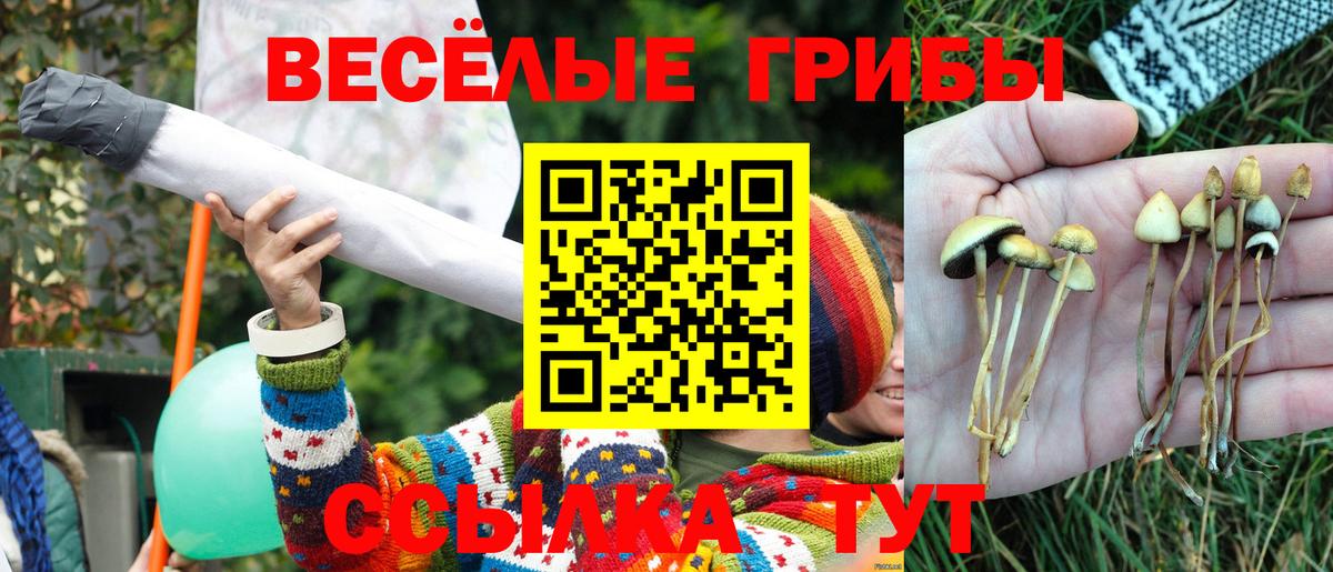 как найти закладки  Псилоцибиновые грибы мухоморы  Вход с VPN  Ковров 